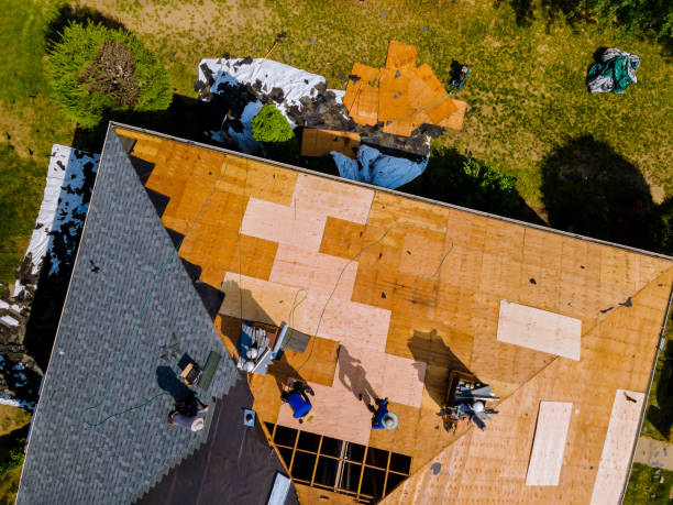 Best Commercial Roofing Services  in Shelby, MI