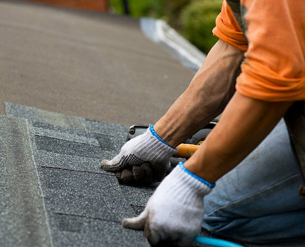 Roof Repair Estimates in Shelby, MI